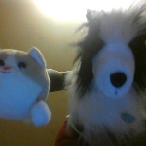 Pet set